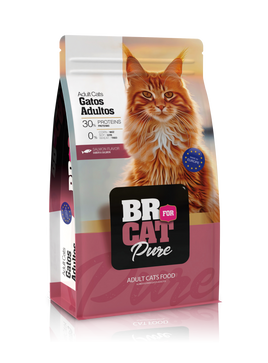 Br For Cat  Adultos Salmon