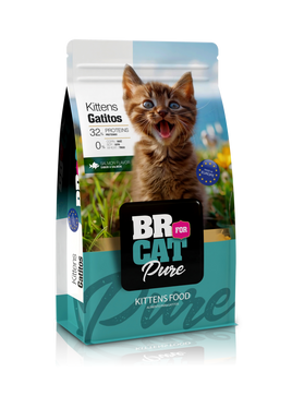 Br For Cat Gatitos Salmon