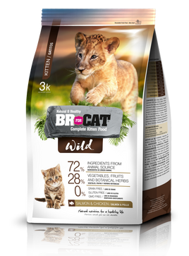 Br for cat wild kitten