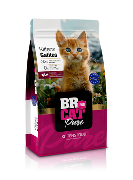 BR FOR CAT GATITOS