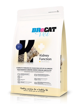 Br For Cat Vet Kidney Function
