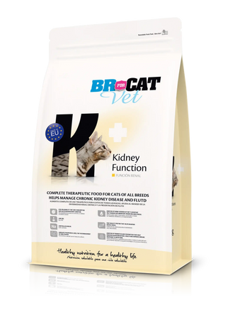 Br For Cat Vet Kidney Function