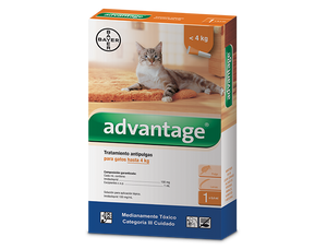 antipulgas para gatos advantage bayer