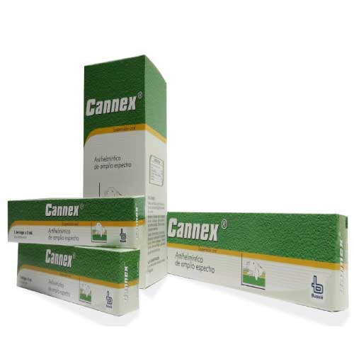 Cannex| guau.com.co