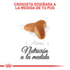 ROYAL CANIN CACHORRO PUG
