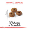 Royal Canin Fit 32 Alimento para Gatos
