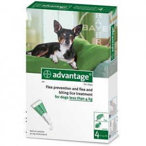 ADVANTAGE antipulgas 