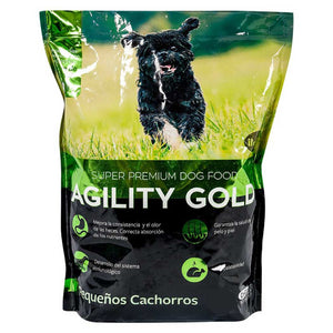 agility gold pequeños cachorros