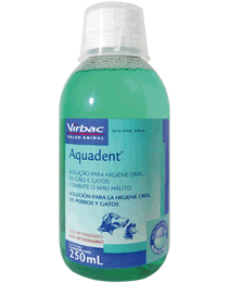 aquadent