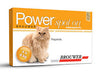 Power antipulgas para gatos