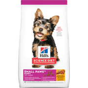hills puppy small paws