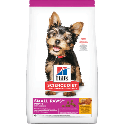 hills puppy small paws